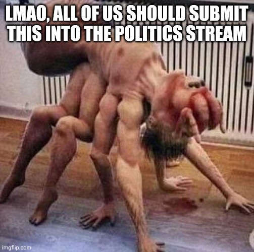 I put words in it, so it's not spam | LMAO, ALL OF US SHOULD SUBMIT THIS INTO THE POLITICS STREAM | image tagged in cursed image | made w/ Imgflip meme maker