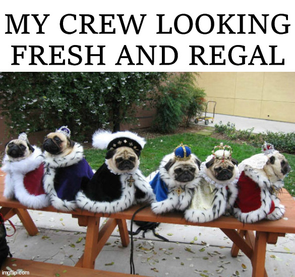 MY CREW LOOKING FRESH AND REGAL | image tagged in dogs | made w/ Imgflip meme maker