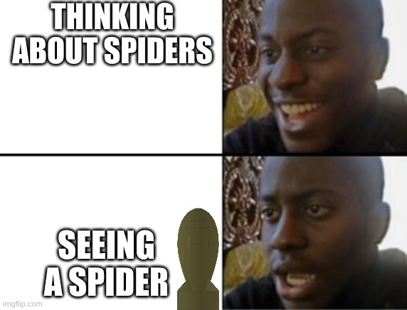 tatical nuke incoming( i needz help) | THINKING ABOUT SPIDERS; SEEING A SPIDER | image tagged in oh yeah oh no | made w/ Imgflip meme maker