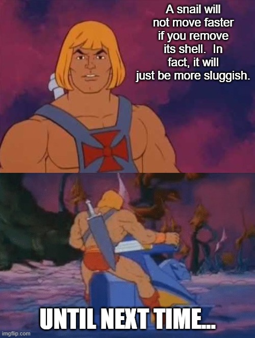 he-man | A snail will not move faster if you remove its shell.  In fact, it will just be more sluggish. UNTIL NEXT TIME... | image tagged in he-man | made w/ Imgflip meme maker