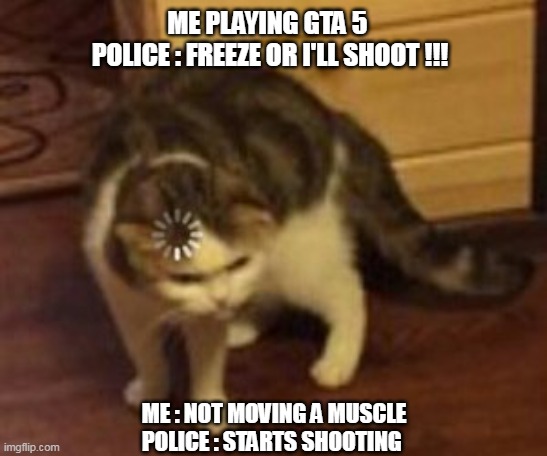 gta 5 meme |  ME PLAYING GTA 5 
POLICE : FREEZE OR I'LL SHOOT !!! ME : NOT MOVING A MUSCLE
POLICE : STARTS SHOOTING | image tagged in loading cat,gta 5,video game | made w/ Imgflip meme maker