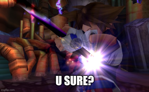 sora sacrifice | U SURE? | image tagged in sora sacrifice | made w/ Imgflip meme maker
