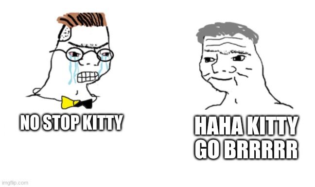 Haha meme go brr | NO STOP KITTY HAHA KITTY GO BRRRRR | image tagged in haha meme go brr | made w/ Imgflip meme maker