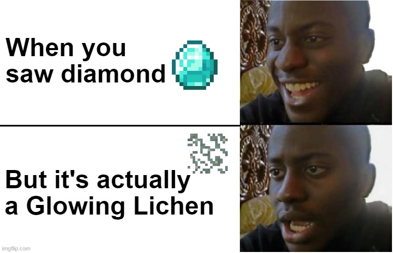 Darn it! | When you saw diamond; But it's actually a Glowing Lichen | image tagged in disappointed black guy,minecraft,funny memes,funny,dissapointed | made w/ Imgflip meme maker
