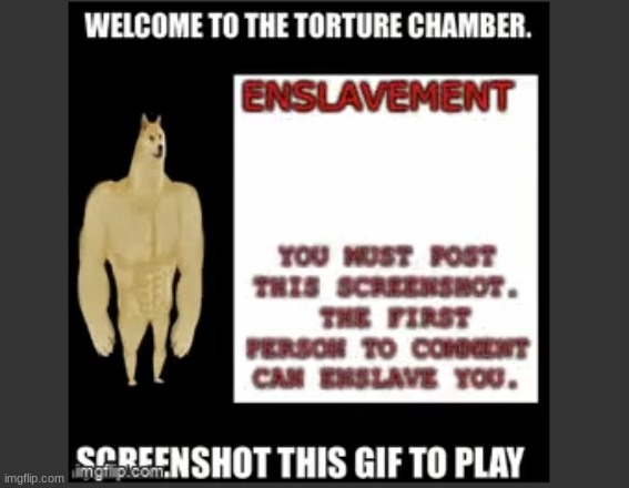 PLS DONT COMMENT | made w/ Imgflip meme maker