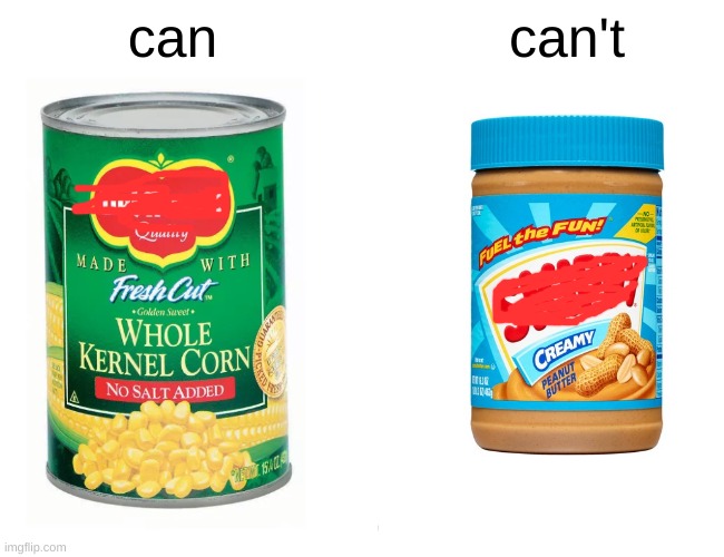 can or can't | can; can't | image tagged in funny memes | made w/ Imgflip meme maker