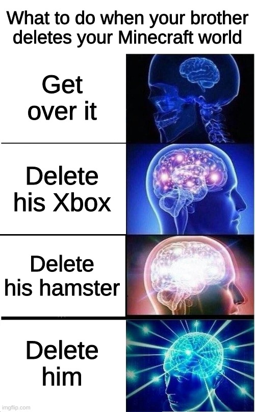 I feel it was justified! | What to do when your brother deletes your Minecraft world; Get over it; Delete his Xbox; Delete his hamster; Delete him | image tagged in memes,expanding brain | made w/ Imgflip meme maker