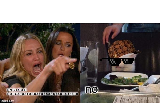 Finish ur food pls | no; FINISH YOUR FOOOOOOOOOOOOOOOOOOOOOOOOOOD!!!!!! | image tagged in memes,woman yelling at cat | made w/ Imgflip meme maker