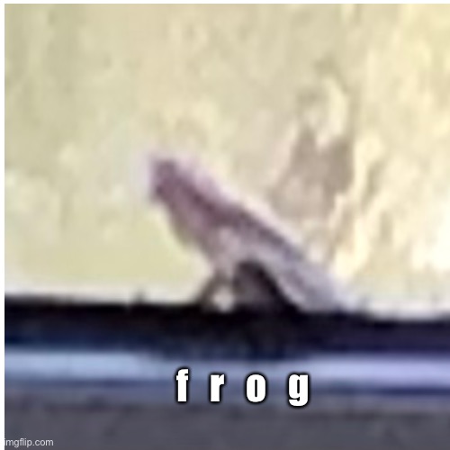 F   R   O   G | f   r   o   g | image tagged in frog,memes,lol,quiet kid,funny,upvote begging | made w/ Imgflip meme maker