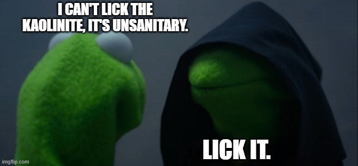 Licking Kaolinite is too tempting | I CAN'T LICK THE KAOLINITE, IT'S UNSANITARY. LICK IT. | image tagged in memes,evil kermit | made w/ Imgflip meme maker