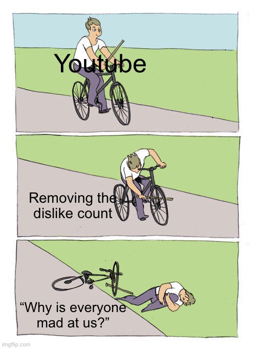 Bike Fall Meme | Youtube; Removing the dislike count; “Why is everyone mad at us?” | image tagged in memes,bike fall | made w/ Imgflip meme maker