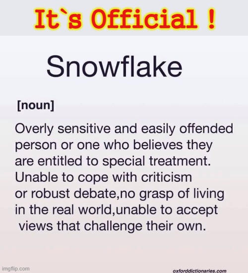 In the Dictionary at last ! | It`s Official ! | image tagged in snowflake | made w/ Imgflip meme maker