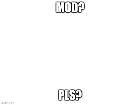 Blank White Template | MOD? PLS? | image tagged in blank white template | made w/ Imgflip meme maker