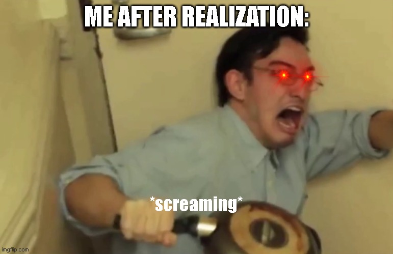 Screaming | ME AFTER REALIZATION: *screaming* | image tagged in screaming | made w/ Imgflip meme maker