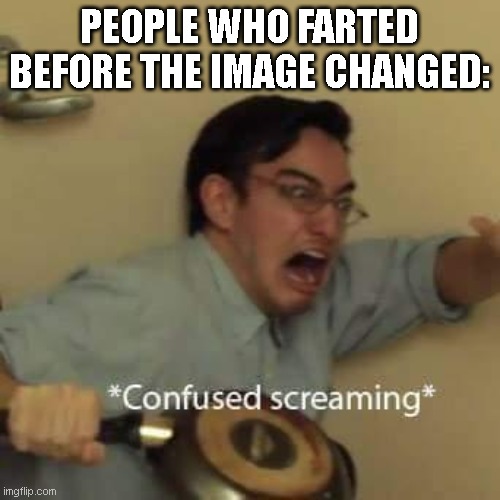 filthy frank confused scream | PEOPLE WHO FARTED BEFORE THE IMAGE CHANGED: | image tagged in filthy frank confused scream | made w/ Imgflip meme maker