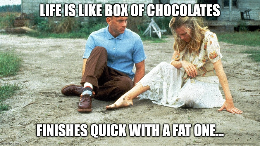 forrest | LIFE IS LIKE BOX OF CHOCOLATES; FINISHES QUICK WITH A FAT ONE... | image tagged in funny memes | made w/ Imgflip meme maker