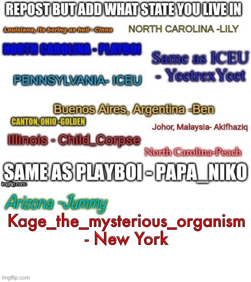 Kage_the_mysterious_organism - New York | made w/ Imgflip meme maker