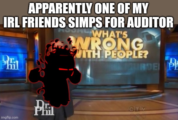 Dr. Phil What's wrong with people | APPARENTLY ONE OF MY IRL FRIENDS SIMPS FOR AUDITOR | image tagged in auditor what is wrong with people,why,the,hell | made w/ Imgflip meme maker