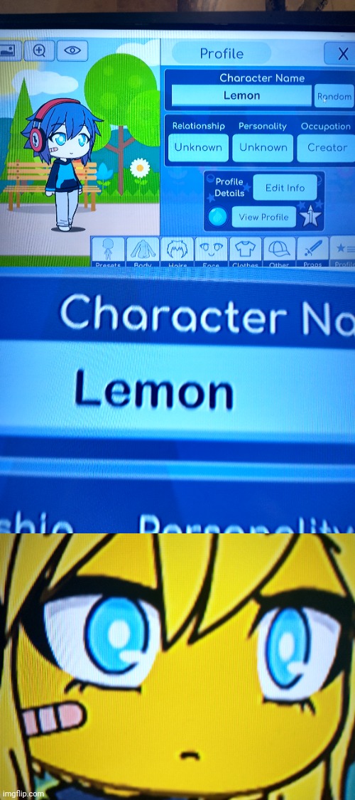 I got this when I randomized a name when Playing gacha Life on my computer. | image tagged in memes,gacha life,lemon,pc gaming,computer | made w/ Imgflip meme maker