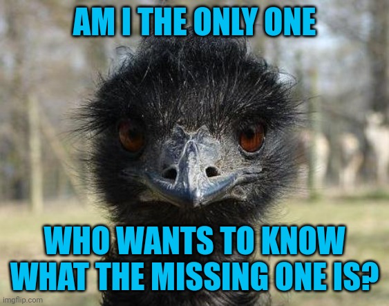 Bad News Emu | AM I THE ONLY ONE WHO WANTS TO KNOW WHAT THE MISSING ONE IS? | image tagged in bad news emu | made w/ Imgflip meme maker
