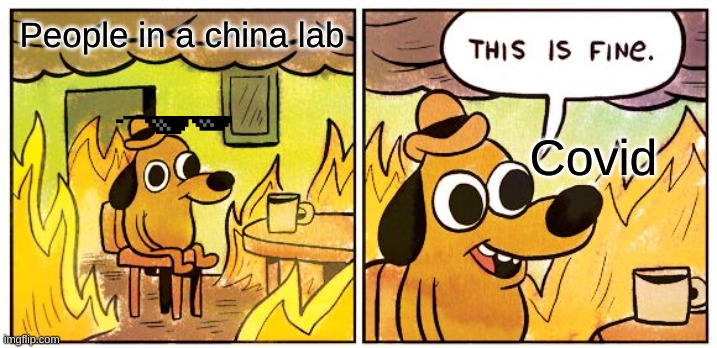 This Is Fine | People in a china lab; Covid | image tagged in memes,this is fine | made w/ Imgflip meme maker