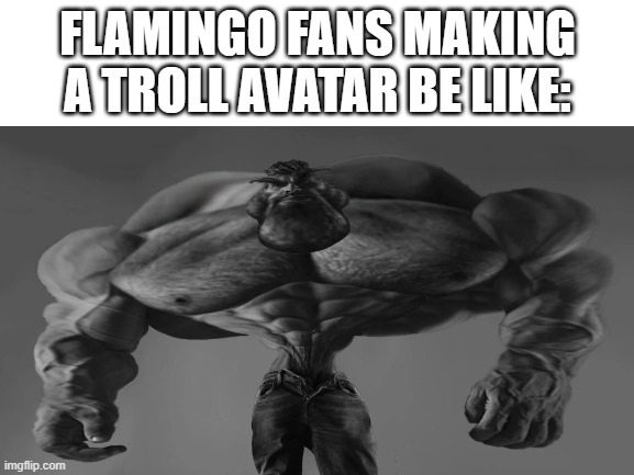 :troll: | FLAMINGO FANS MAKING A TROLL AVATAR BE LIKE: | image tagged in flamingo,roblox,meme | made w/ Imgflip meme maker