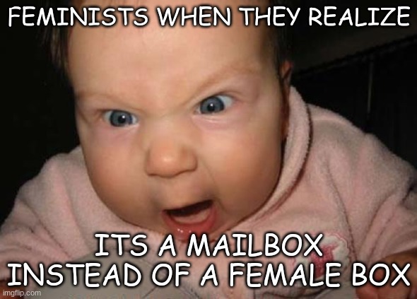 E |  FEMINISTS WHEN THEY REALIZE; ITS A MAILBOX INSTEAD OF A FEMALE BOX | image tagged in memes,evil baby | made w/ Imgflip meme maker