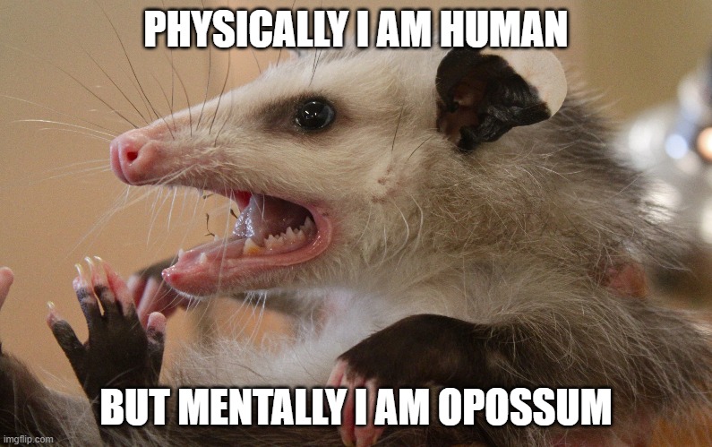 PHYSICALLY I AM HUMAN; BUT MENTALLY I AM OPOSSUM | made w/ Imgflip meme maker