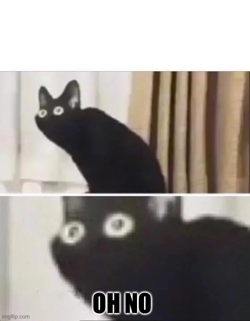 Oh No Black Cat | OH NO | image tagged in oh no black cat | made w/ Imgflip meme maker