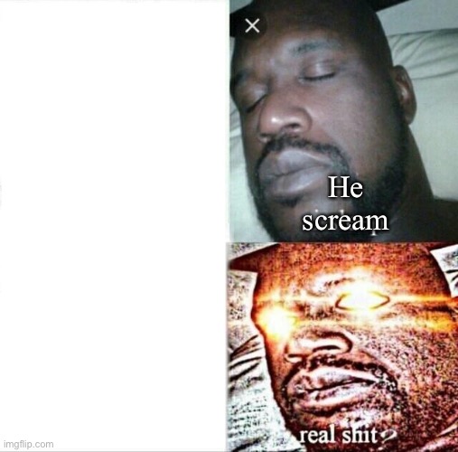 Sleeping Shaq Meme | He scream | image tagged in memes,sleeping shaq | made w/ Imgflip meme maker