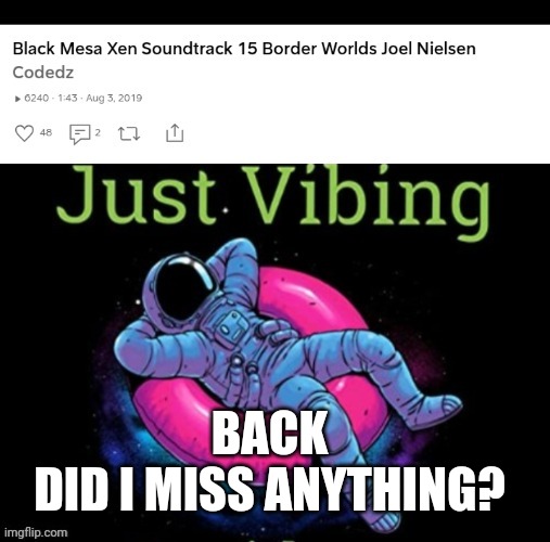 Vibing all day | BACK
DID I MISS ANYTHING? | image tagged in vibing all day | made w/ Imgflip meme maker