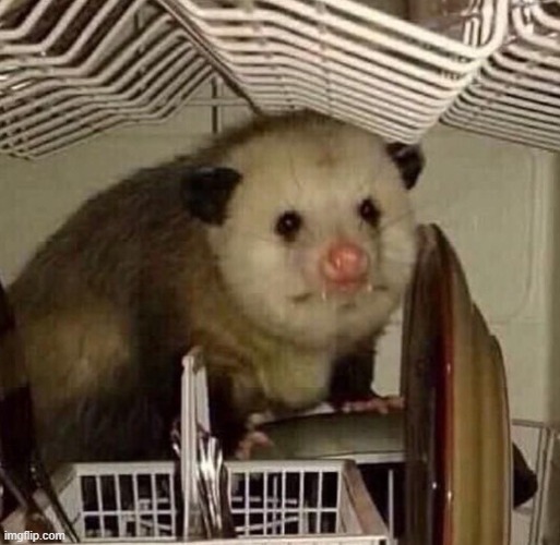 opossums are my spirit animal | made w/ Imgflip meme maker