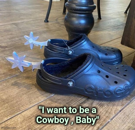 Kid Rock's Crocs |  "I want to be a
Cowboy , Baby" | image tagged in shoes,ugly,crocs,crocodile,cowboy,spurs | made w/ Imgflip meme maker