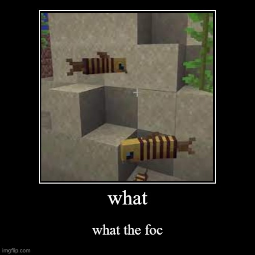 . | image tagged in funny,demotivationals | made w/ Imgflip demotivational maker