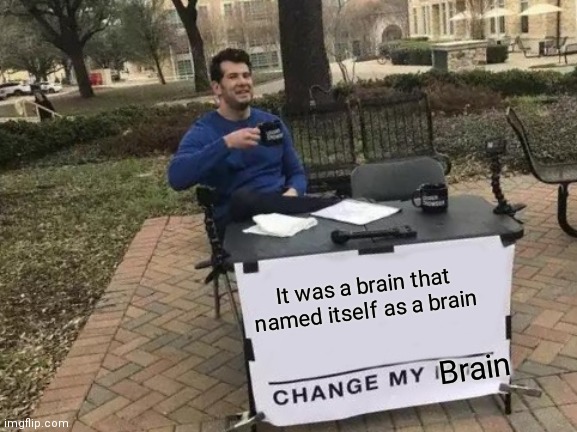 Brains | It was a brain that named itself as a brain; Brain | image tagged in memes,funny meme,meme | made w/ Imgflip meme maker