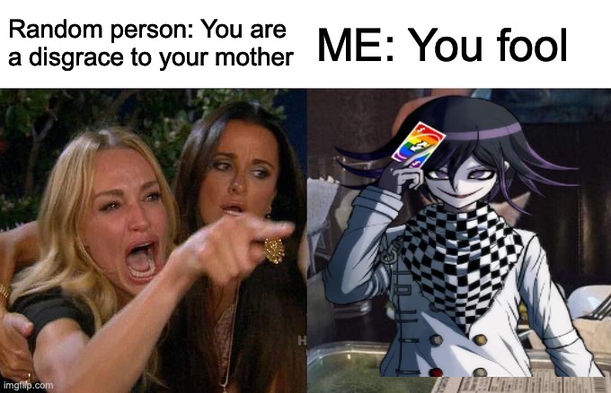 Woman Yelling At Cat | Random person: You are a disgrace to your mother; ME: You fool | image tagged in memes,woman yelling at cat | made w/ Imgflip meme maker