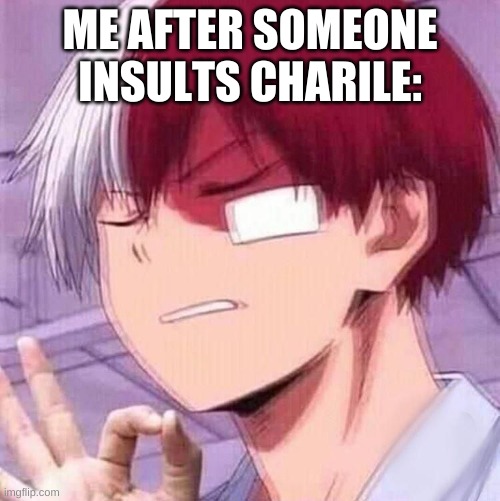 Good job, young one. | ME AFTER SOMEONE INSULTS CHARILE: | image tagged in todoroki | made w/ Imgflip meme maker