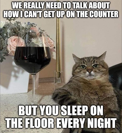 WE REALLY NEED TO TALK ABOUT HOW I CAN'T GET UP ON THE COUNTER; BUT YOU SLEEP ON THE FLOOR EVERY NIGHT | image tagged in cat,wine | made w/ Imgflip meme maker