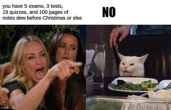 Woman Yelling At Cat | you have 5 exams, 3 tests, 19 quizzes, and 100 pages of notes dew before Christmas or else; NO | image tagged in memes,woman yelling at cat | made w/ Imgflip meme maker