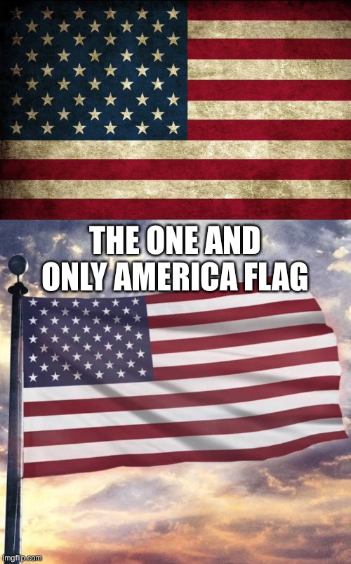 The one and only American Flag | THE ONE AND ONLY AMERICA FLAG | image tagged in freedom,president trump | made w/ Imgflip meme maker