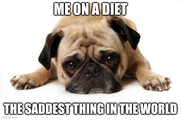 Pug on a diet | ME ON A DIET; THE SADDEST THING IN THE WORLD | image tagged in sad pug,funny | made w/ Imgflip meme maker