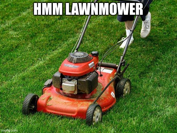 lawnmower | HMM LAWNMOWER | image tagged in lawnmower | made w/ Imgflip meme maker