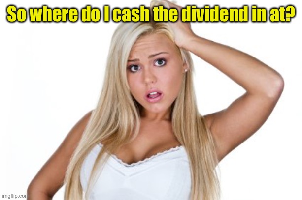 Dumb Blonde | So where do I cash the dividend in at? | image tagged in dumb blonde | made w/ Imgflip meme maker