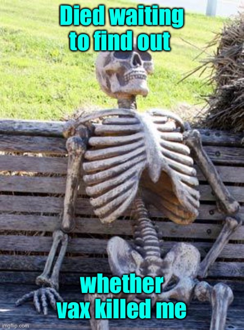 Waiting Skeleton Meme | Died waiting to find out whether vax killed me | image tagged in memes,waiting skeleton | made w/ Imgflip meme maker