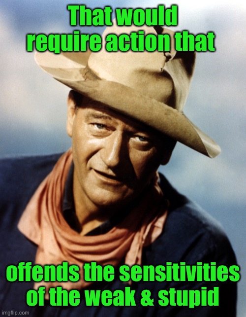John Wayne | That would require action that offends the sensitivities of the weak & stupid | image tagged in john wayne | made w/ Imgflip meme maker