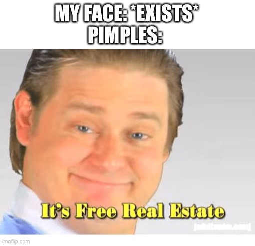 Pimples be like | MY FACE: *EXISTS*
PIMPLES: | image tagged in it's free real estate,acne | made w/ Imgflip meme maker