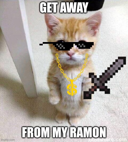 Cute Cat Meme | GET AWAY; FROM MY RAMON | image tagged in memes,cute cat | made w/ Imgflip meme maker