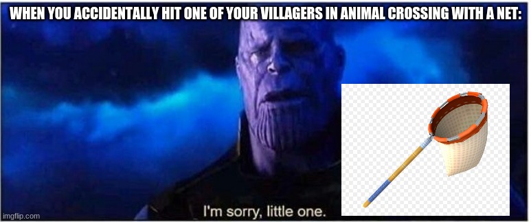 And then they get so sad when you hit them ;-; | WHEN YOU ACCIDENTALLY HIT ONE OF YOUR VILLAGERS IN ANIMAL CROSSING WITH A NET: | image tagged in thanos i'm sorry little one,animal crossing | made w/ Imgflip meme maker