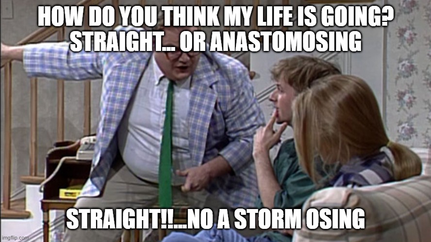 rivers |  HOW DO YOU THINK MY LIFE IS GOING?
STRAIGHT... OR ANASTOMOSING; STRAIGHT!!...NO A STORM OSING | image tagged in van down by the river | made w/ Imgflip meme maker