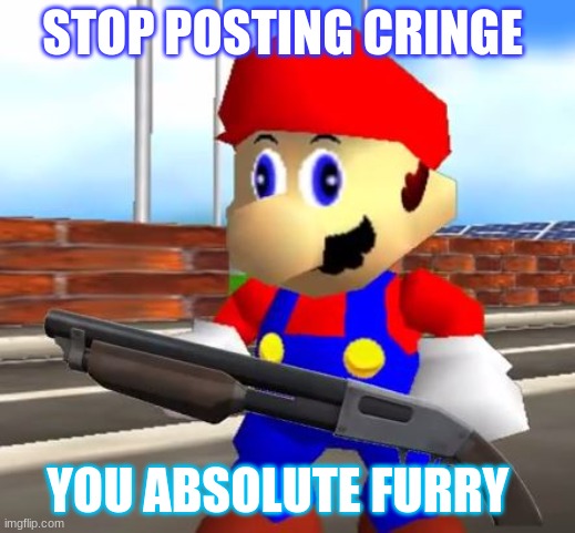 SMG4 Shotgun Mario | STOP POSTING CRINGE; YOU ABSOLUTE FURRY | image tagged in smg4 shotgun mario | made w/ Imgflip meme maker